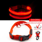 LED Dog Collar - Glows Fluorescent Choose USB Charging or Battery