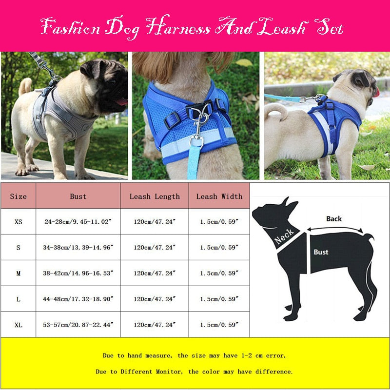 Reflective Safety Pet Dog Harness and Leash Set for Puppies or Small to Medium Dogs