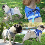 Reflective Safety Pet Dog Harness and Leash Set for Puppies or Small to Medium Dogs