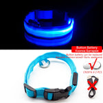 LED Dog Collar - Glows Fluorescent Choose USB Charging or Battery