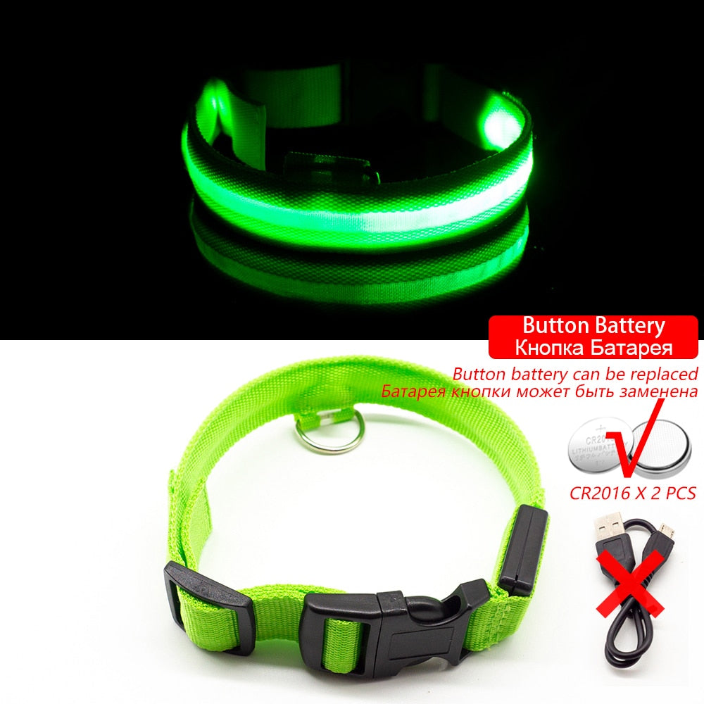 LED Dog Collar - Glows Fluorescent Choose USB Charging or Battery