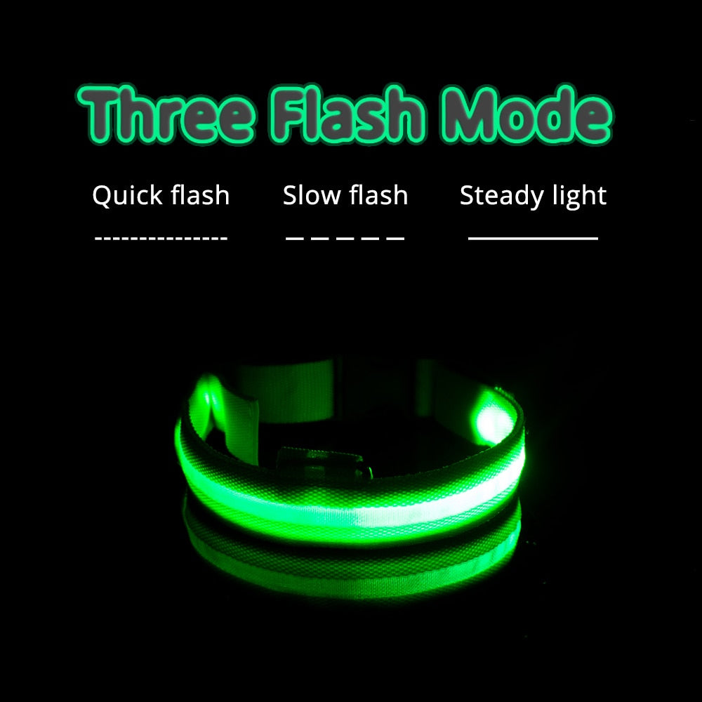 LED Dog Collar - Glows Fluorescent Choose USB Charging or Battery