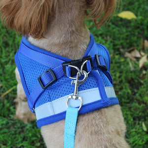 Reflective Safety Pet Dog Harness and Leash Set for Puppies or Small to Medium Dogs