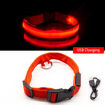 LED Dog Collar - Glows Fluorescent Choose USB Charging or Battery