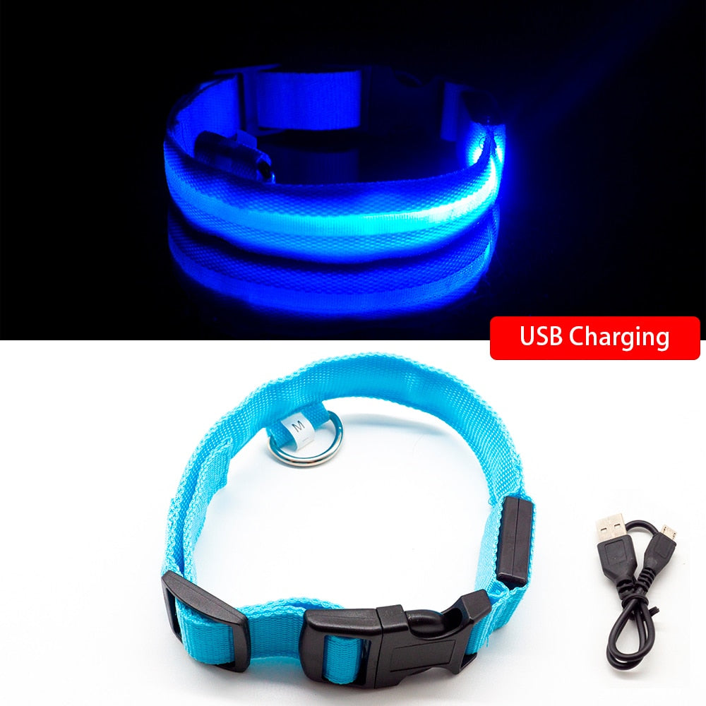 LED Dog Collar - Glows Fluorescent Choose USB Charging or Battery