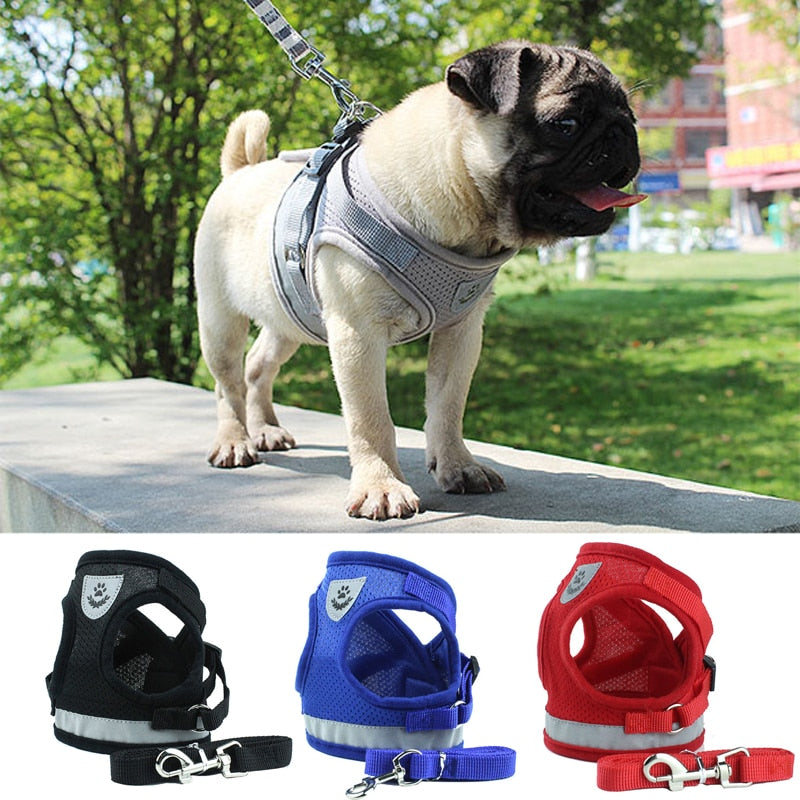 Reflective Safety Pet Dog Harness and Leash Set for Puppies or Small to Medium Dogs