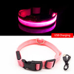 LED Dog Collar - Glows Fluorescent Choose USB Charging or Battery