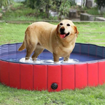 Foldable Swimming Pool Pet Bath