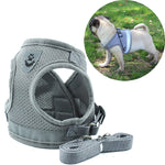 Reflective Safety Pet Dog Harness and Leash Set for Puppies or Small to Medium Dogs