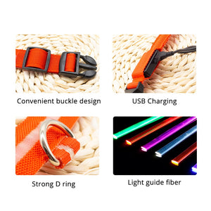 LED Dog Collar - Glows Fluorescent Choose USB Charging or Battery