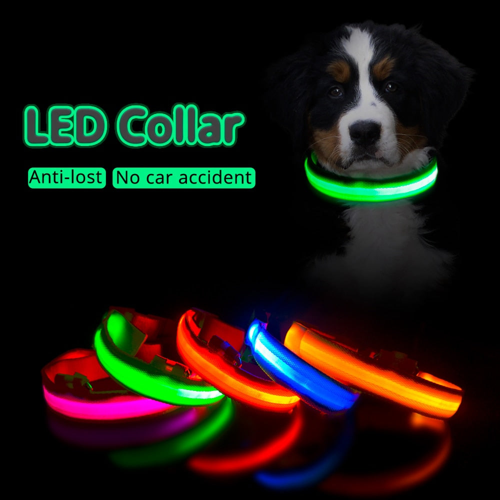 LED Dog Collar - Glows Fluorescent Choose USB Charging or Battery