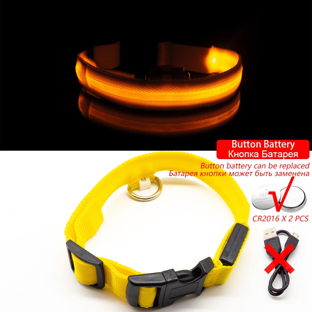 LED Dog Collar - Glows Fluorescent Choose USB Charging or Battery